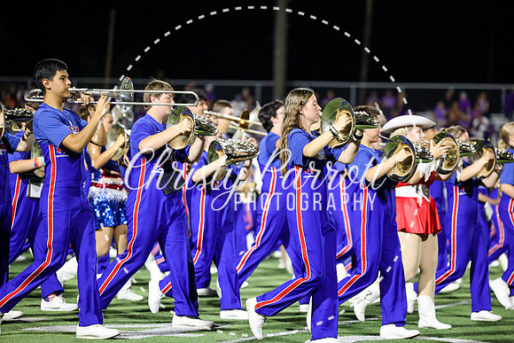 HHSFB9123-3131