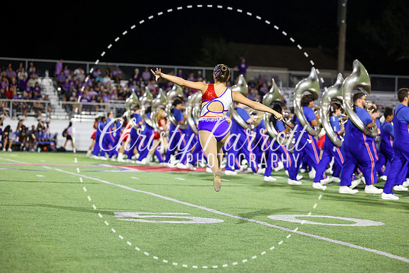 HHSFB9123-3138