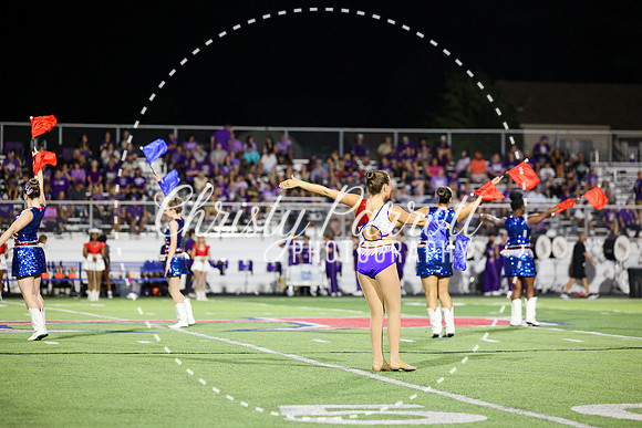HHSFB9123-3197