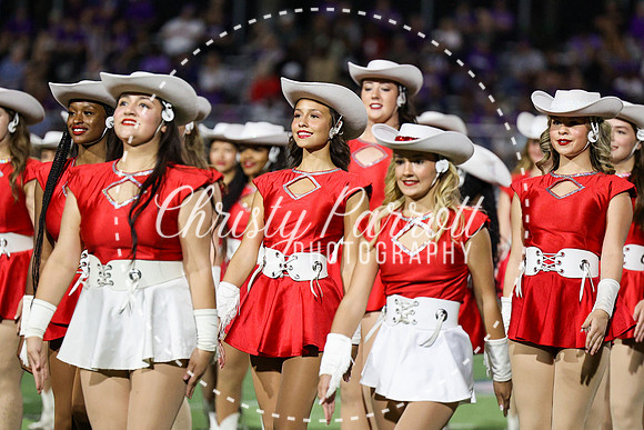 HHSFB9123-3208