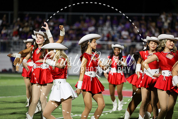 HHSFB9123-3219