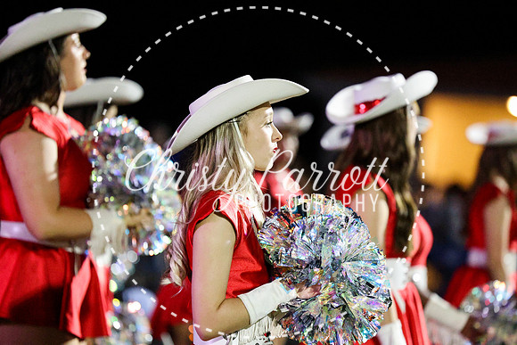 HHSFB9123-3413