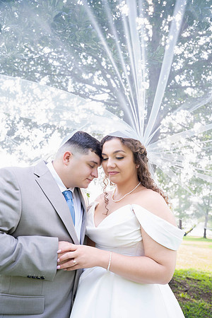 parrott wedding-03000