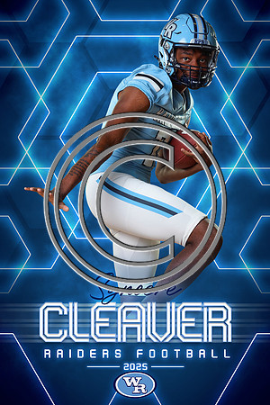Cleaver3