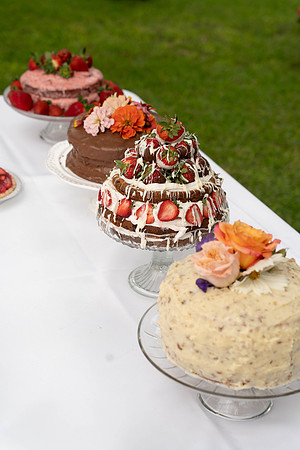 parrott wedding-03158