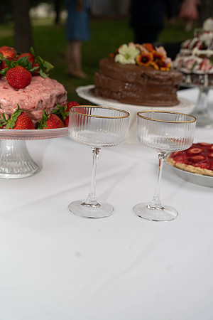 parrott wedding-03175