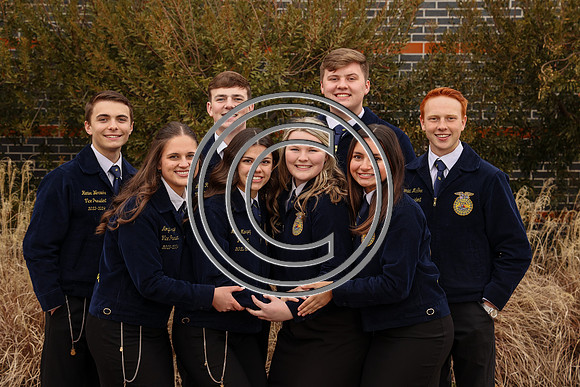 MDFFA-8139