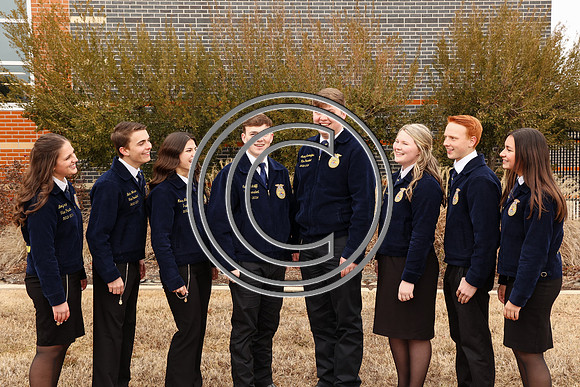 MDFFA-8177