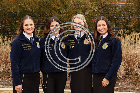 MDFFA-8208