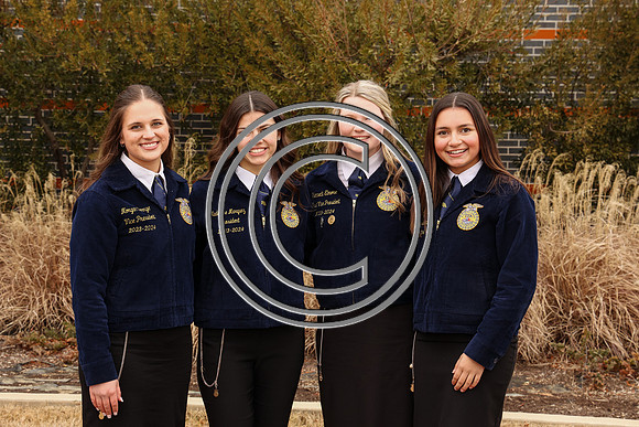 MDFFA-8209