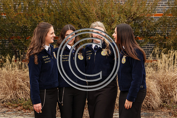 MDFFA-8217