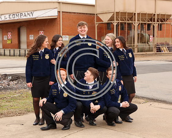 MDFFA-8365