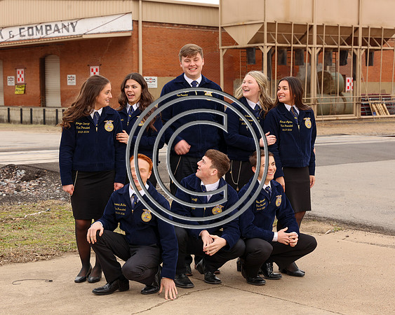 MDFFA-8366