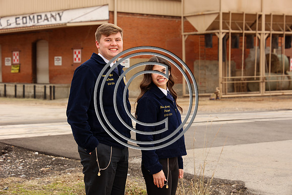 MDFFA-8413