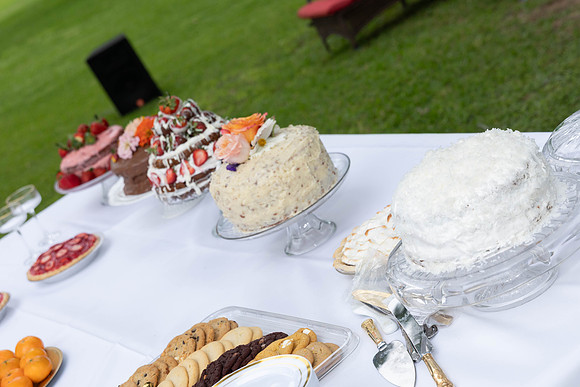 parrott wedding-9026