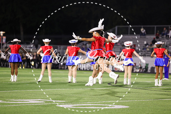 Parrott-4865
