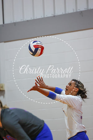 CPP_HHSVB-1341