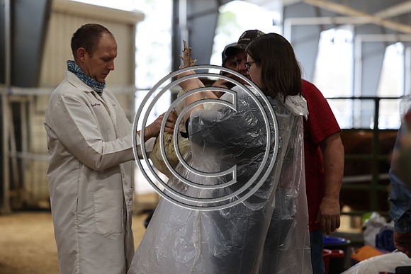281A0097