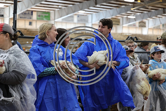 281A0630