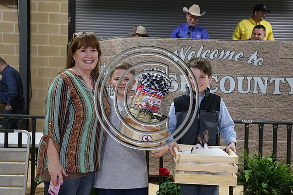 281A0336-2