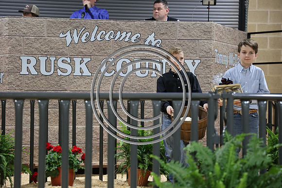 281A0451-2
