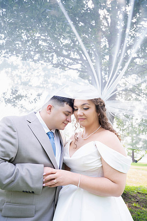 parrott wedding-03001
