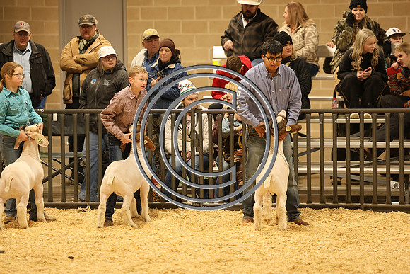 0A3A6195