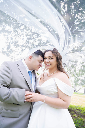 parrott wedding-02998