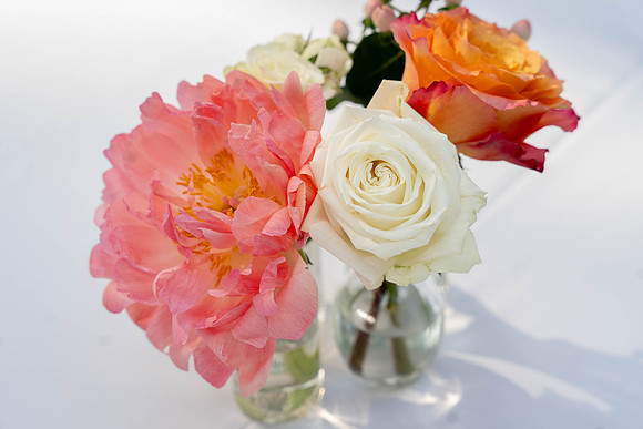 parrott wedding-03015