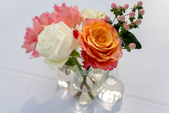 parrott wedding-03016