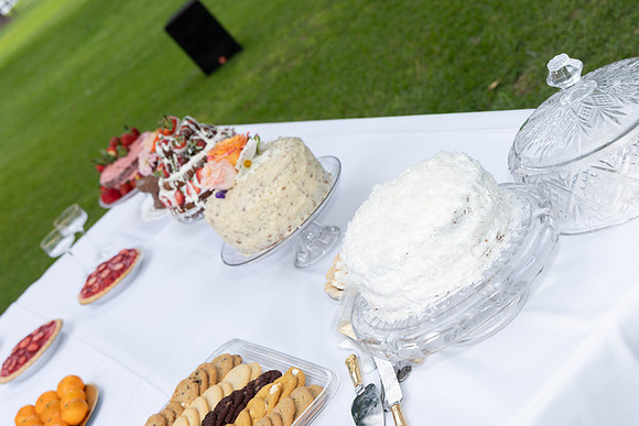 parrott wedding-9027