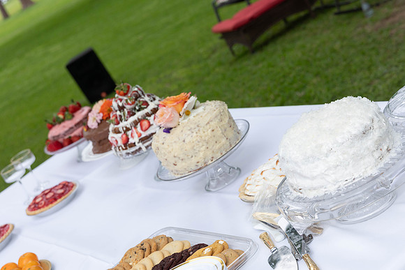 parrott wedding-9025
