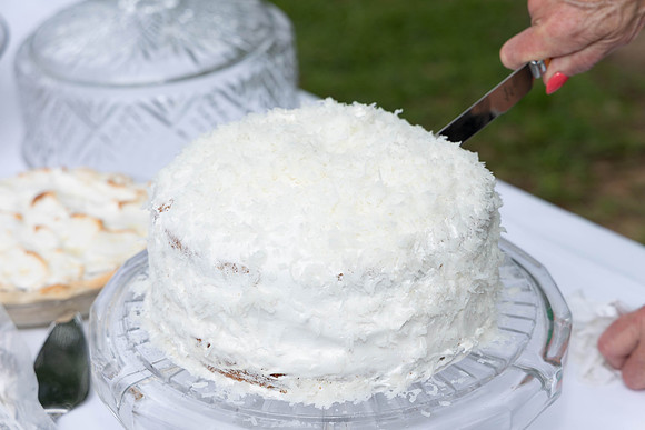 parrott wedding-9060