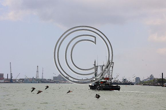 CPP_3045