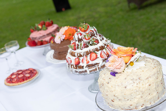 parrott wedding-9059