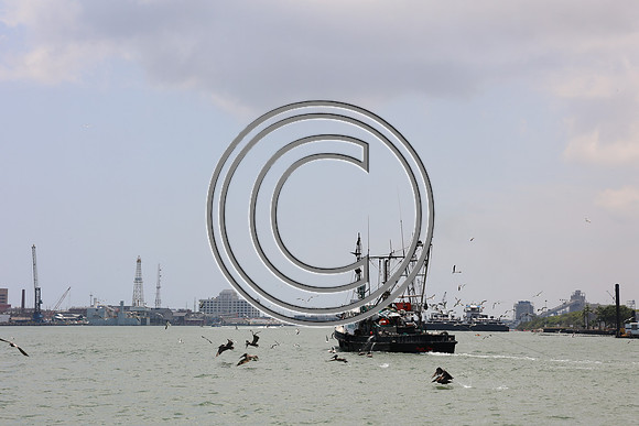 CPP_3044