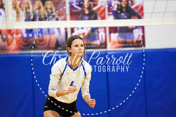 CPP_HHSVB-0993