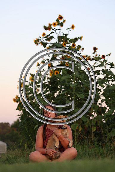 CPP_2949