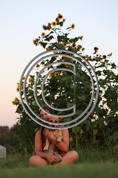 CPP_2952