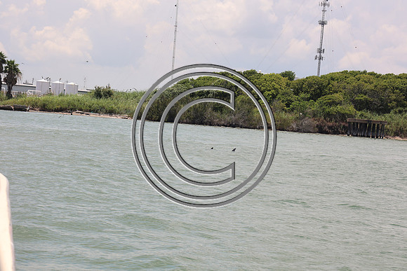 CPP_3022