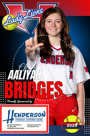 BRIDGES HFS