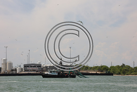 CPP_3071