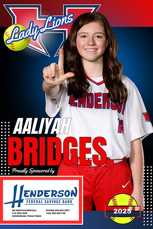 BRIDGES HFS
