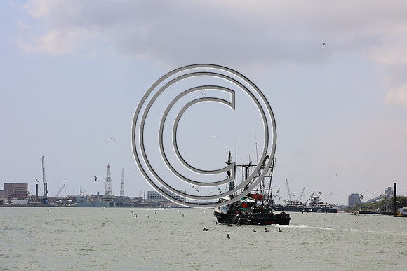 CPP_3036