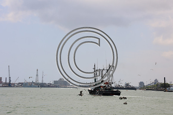 CPP_3042