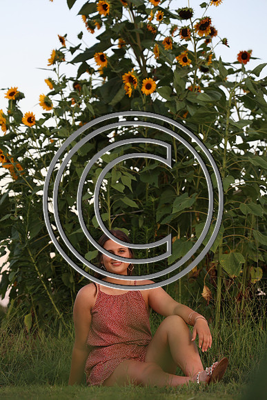 CPP_2934