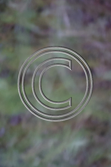 CPP_0633