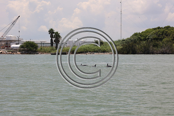 CPP_3028