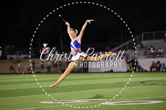 Parrott-4727
