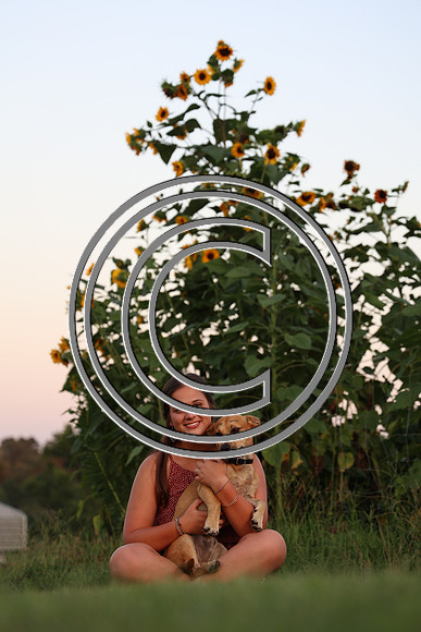 CPP_2947